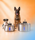 Motion-Sensor Stainless Steel Pet Fountain
